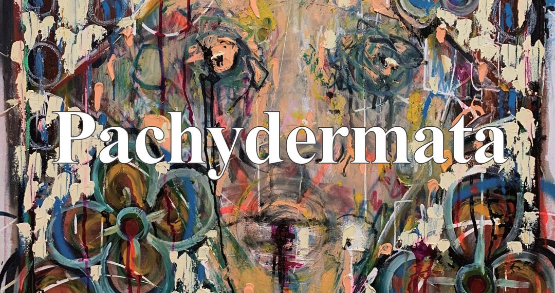 11/4 – 11/13 亜鶴 個展 Pachydermata