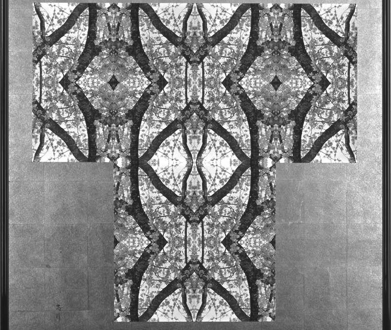 3/2 – 3/8 写真家内藤忠行 写真展「桜」