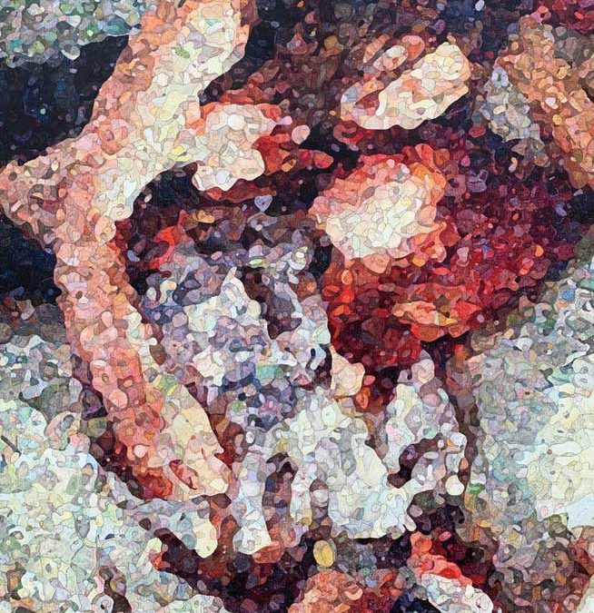 小林望美｜Nozomi Kobayashi 個展　サナギュトリウム November 21 – December 3, 2023