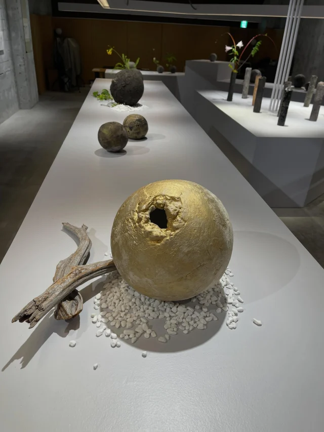【中古】 太陽をつかまえた Akira Fujimoto | 藤元明 ついに太陽をつかまえた March 6 – 24, 2026
