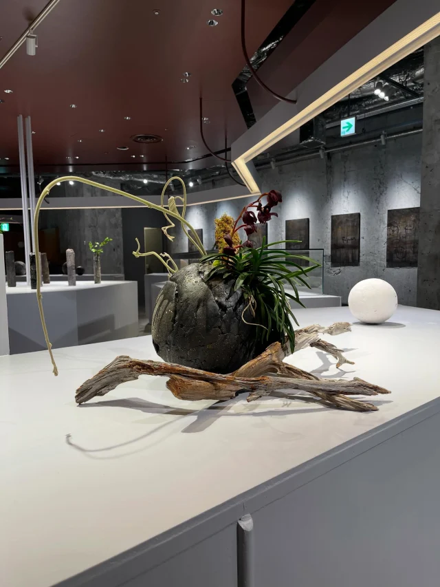 【中古】 太陽をつかまえた Akira Fujimoto | 藤元明 ついに太陽をつかまえた March 6 – 24, 2026